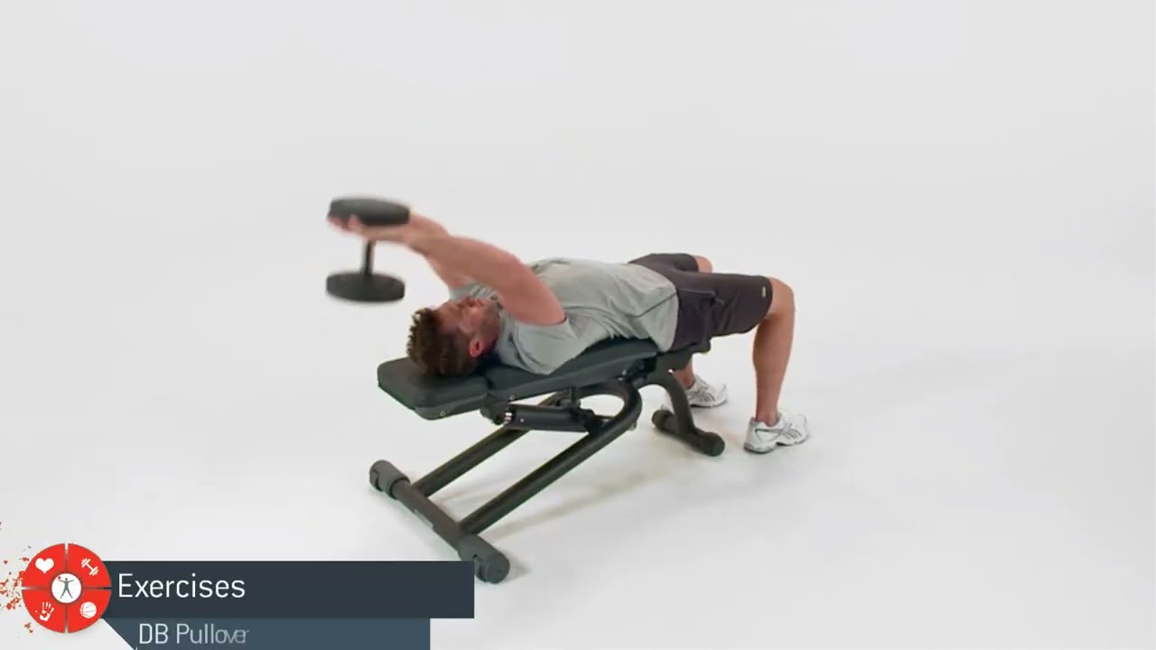 Exercises - DB Pullover