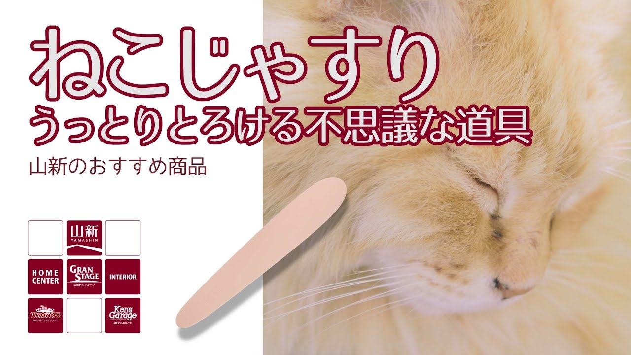 【山新】ねこじゃすり・ねこがうっとりとろける不思議な道具