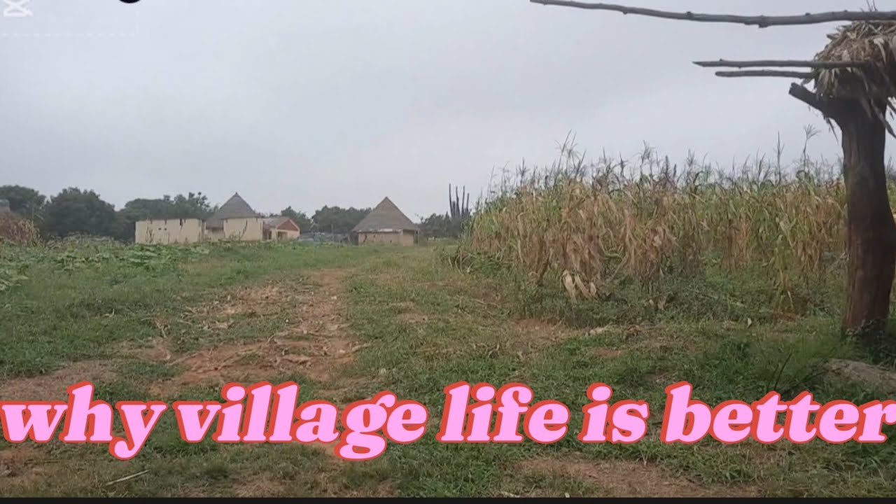 Why village life is better in this economy...Zimbabwean village life 