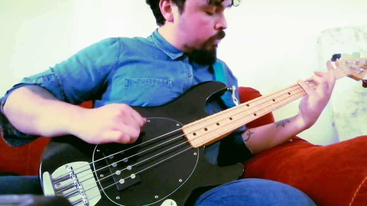 Hüsker Dü - Don't wanna know if you are lonely (BASS cover)
