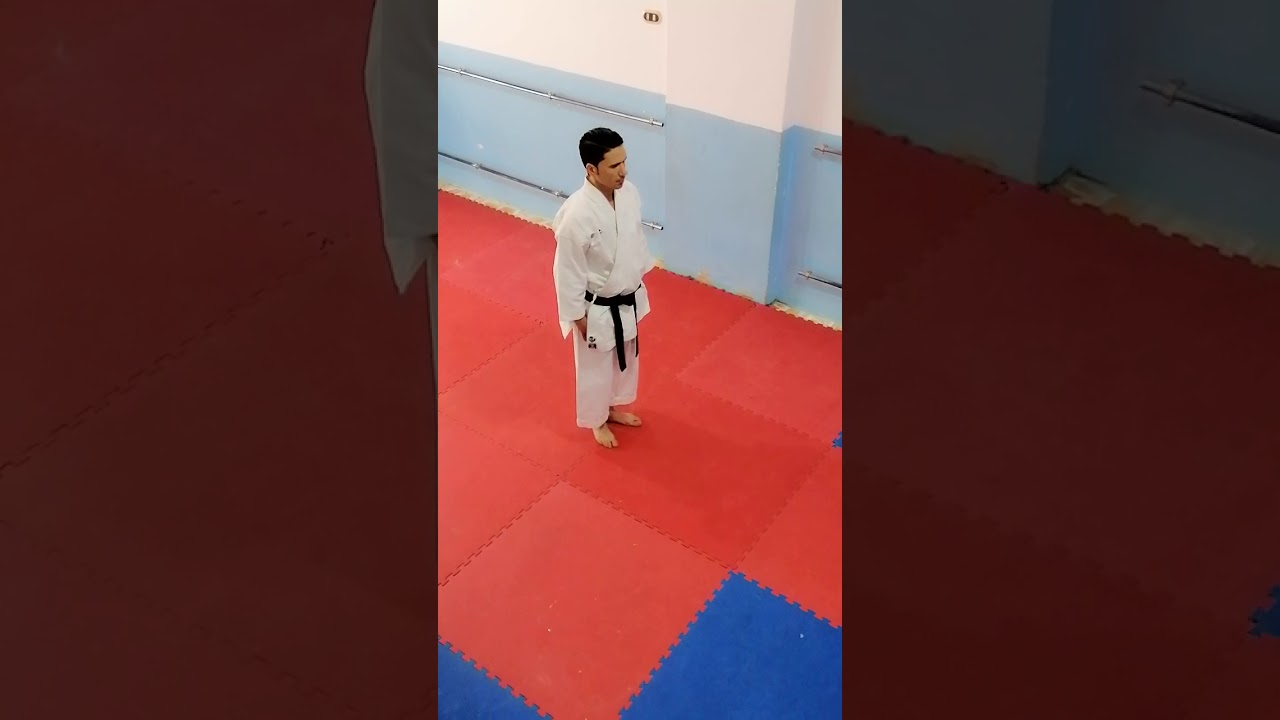 الكاتا السابعة في الكاراتيه (بساي داي) بالحركه السريعه