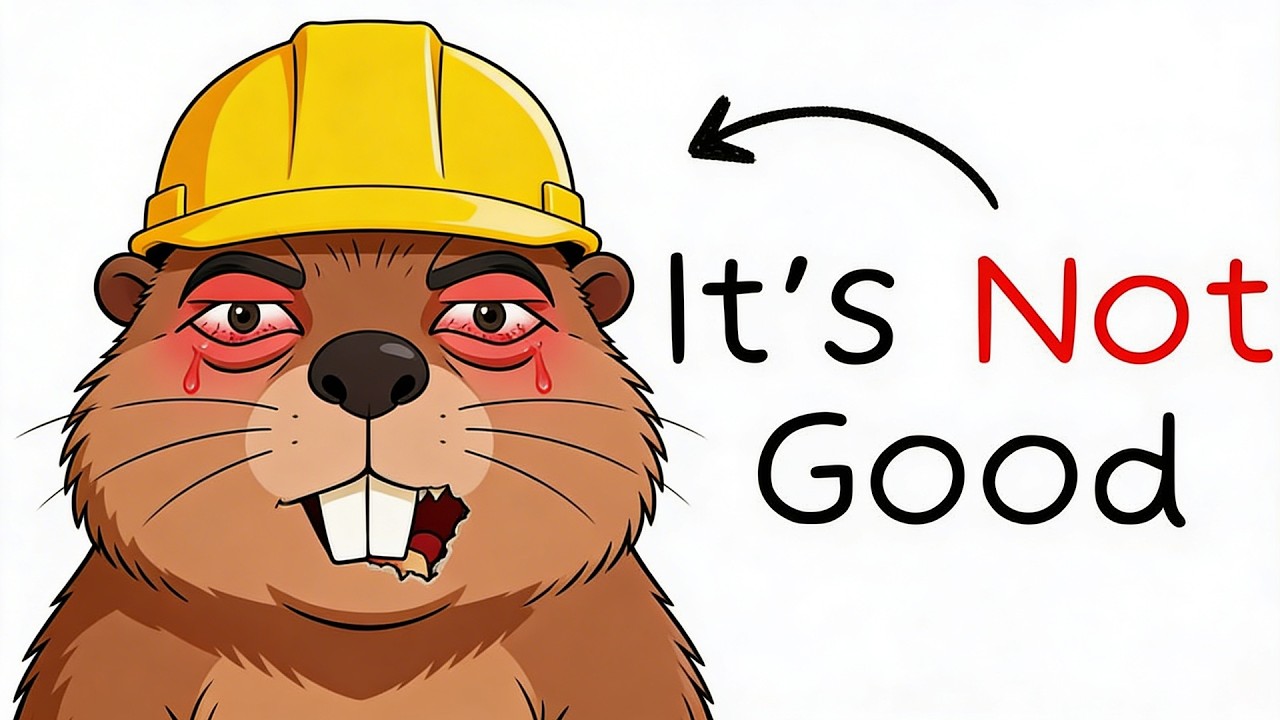 What It’s Like to Be a Beaver