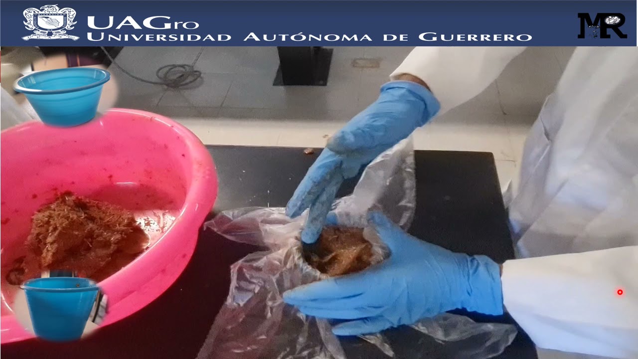 Elaboracion de bloques nutricionales para la suplementación de conejos