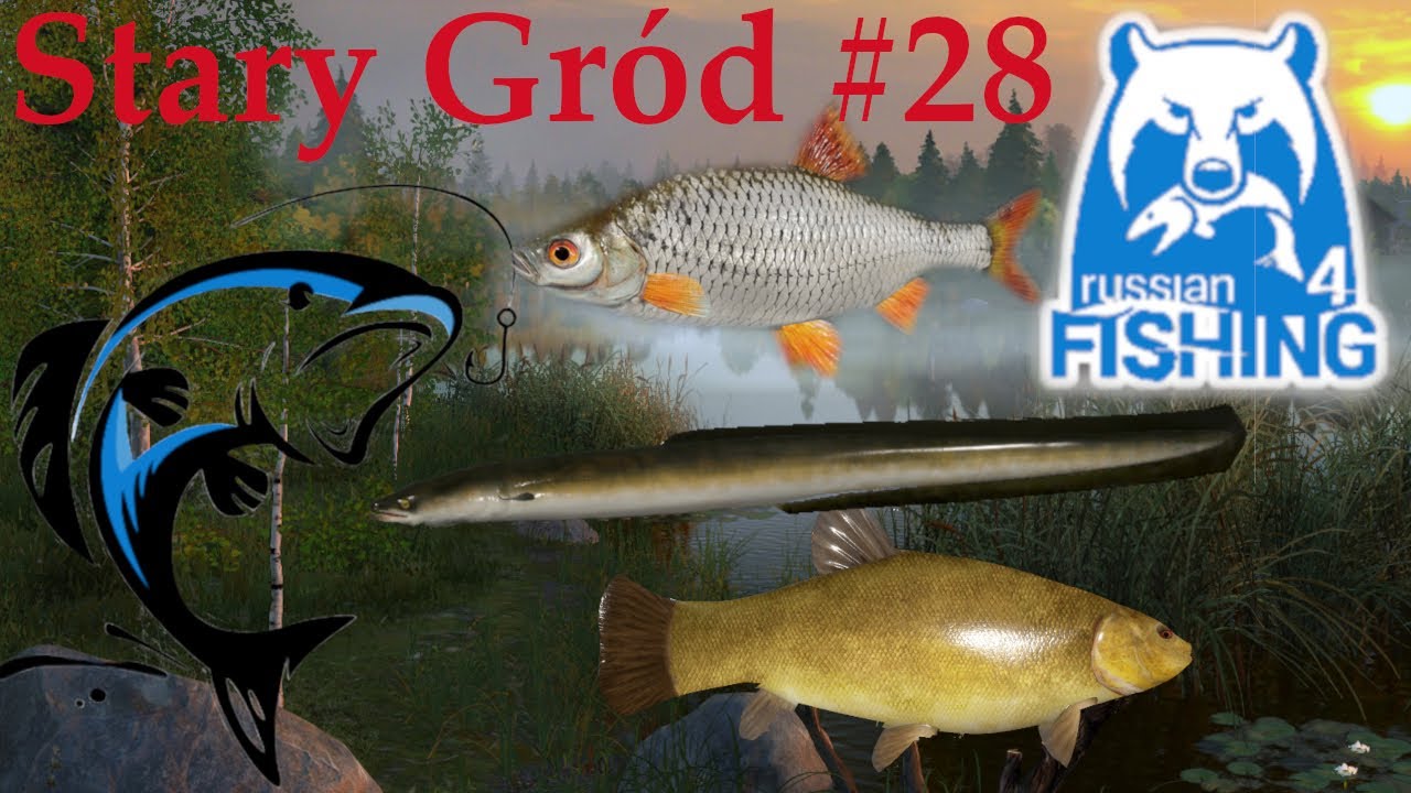 Russian Fishing 4 - Polowanie na węgorza + płocie Feeder spot Jezioro Stary Gród #28