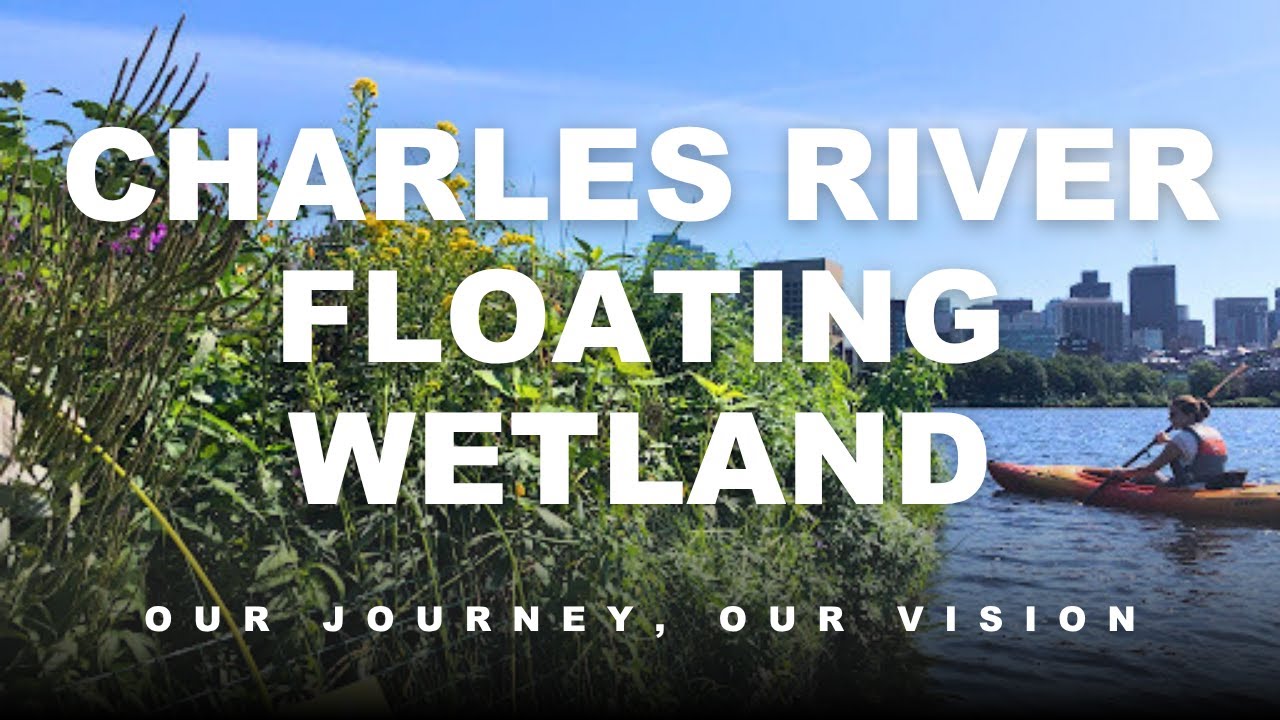 Charles River Floating Wetland: Our Journey, Our Vision