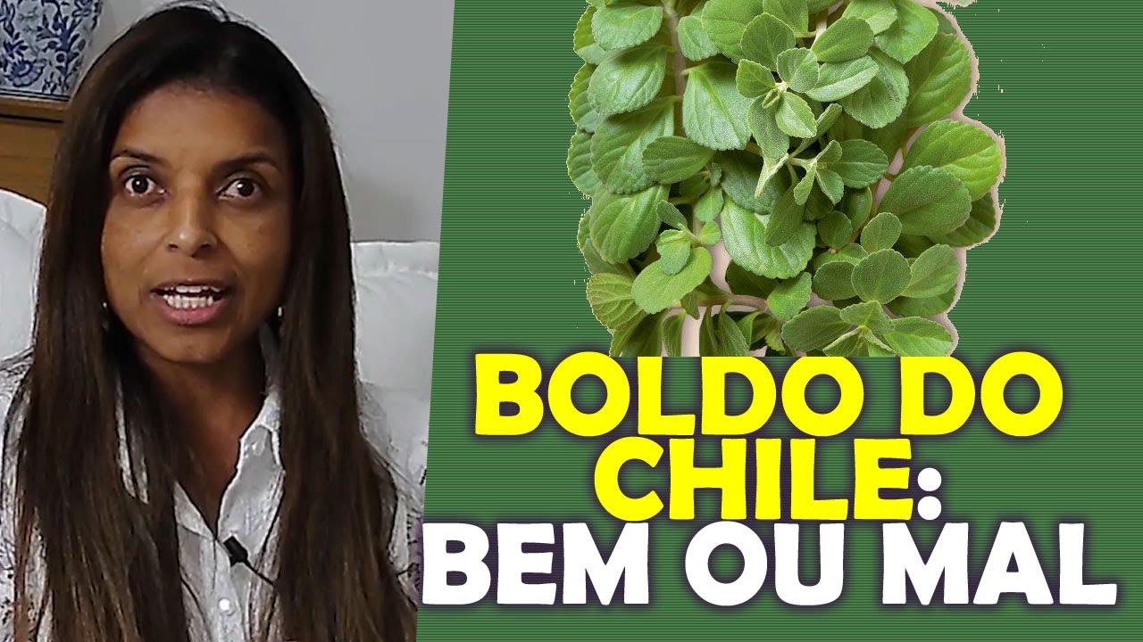 Boldo do Chile: Faz bem ou mal com a vidente Vandinha Lopes
