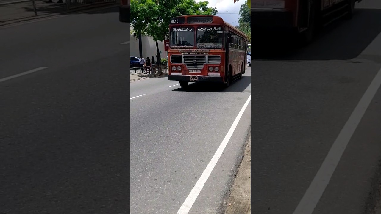 මාතලේ #ctb #bus #busfans #slbus #today #leyland #buslife