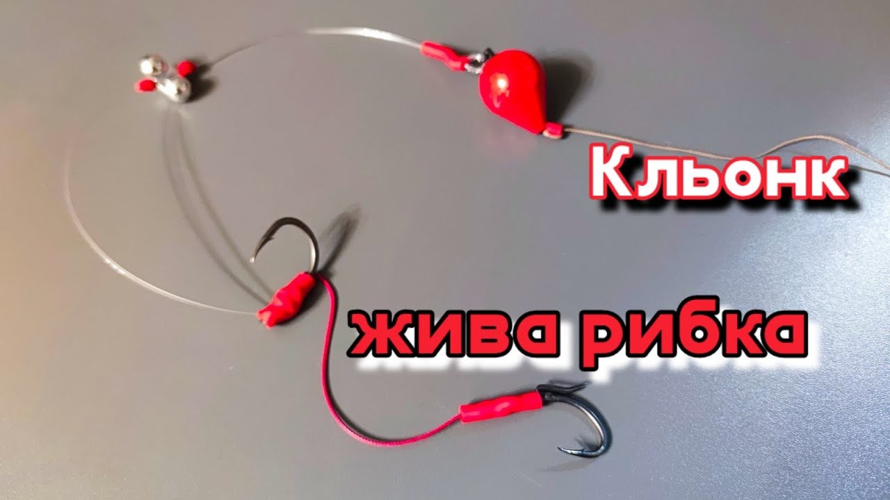 Монтаж за трофейни сомове на кльонк.