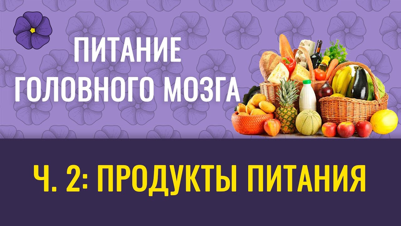 Питание головного мозга, ч.2 &ndash; продукты питания