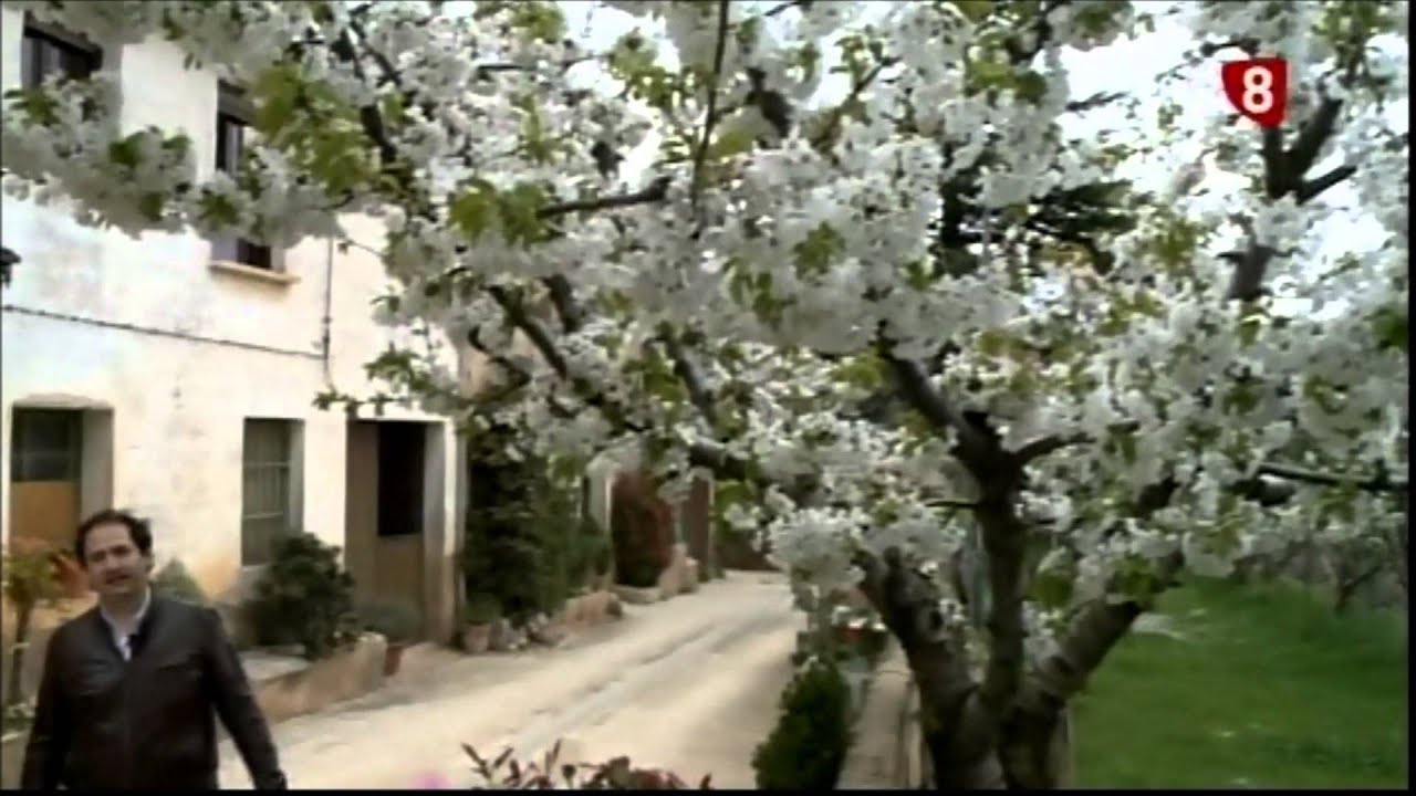 Salas de Bureba  14 04 14