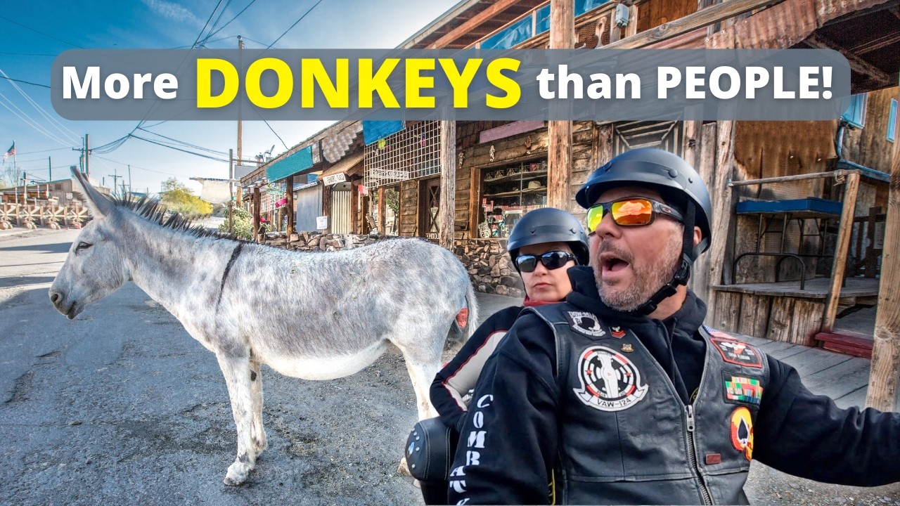 Oatman's Wild Donkeys Await on Route 66 Adventure (RV Lake Havasu)
