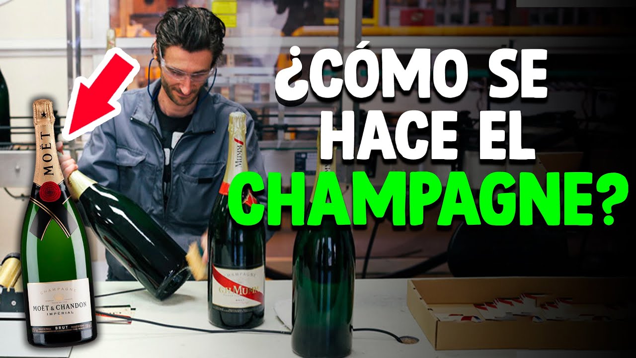 Cómo Se Hace El CHAMPAGNE? [Proceso En Fábrica]