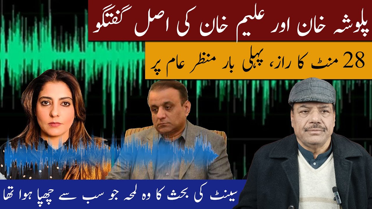 Exclusive Audio: Palwasha Khan vs Aleem Khan | 28-Minute Heated Senate Exchange