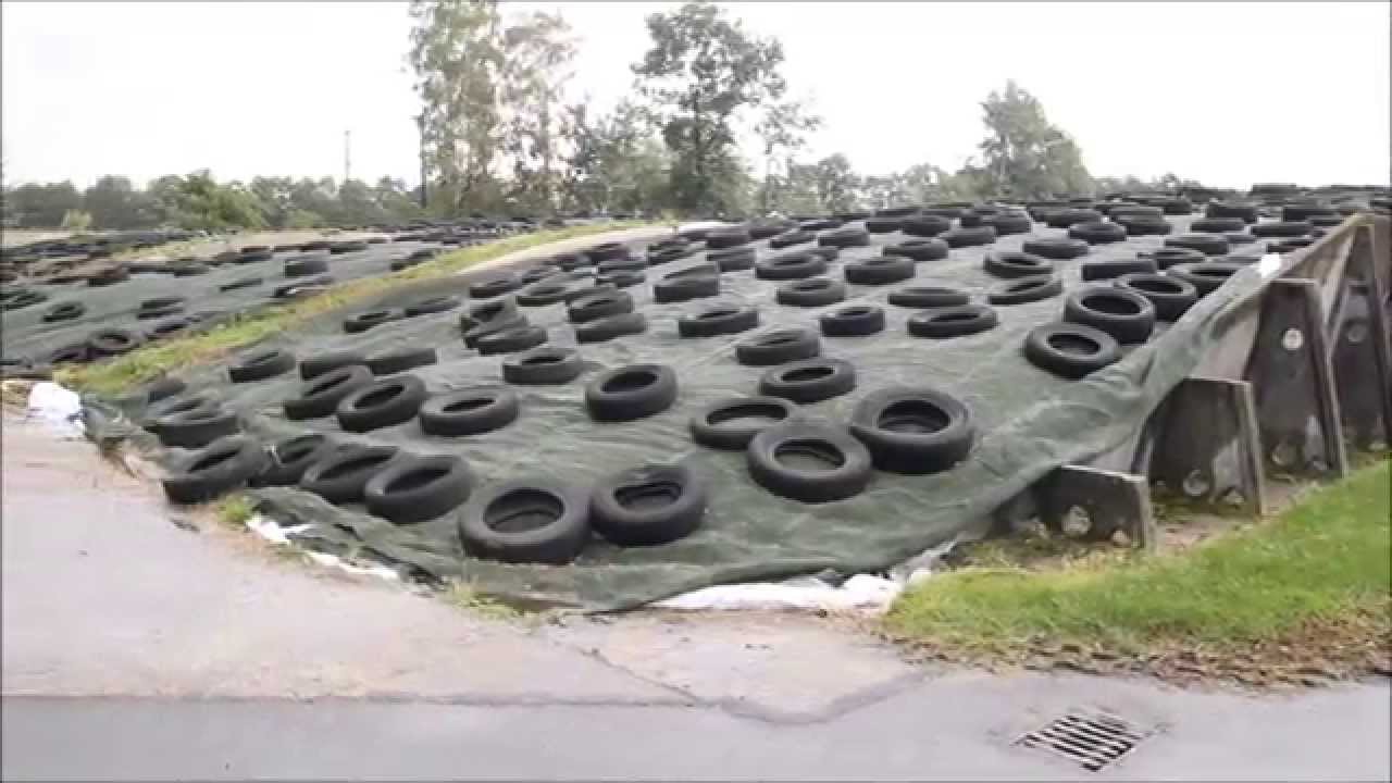 Technologia cięcia kukurydzy na kiszonkę Shredlage