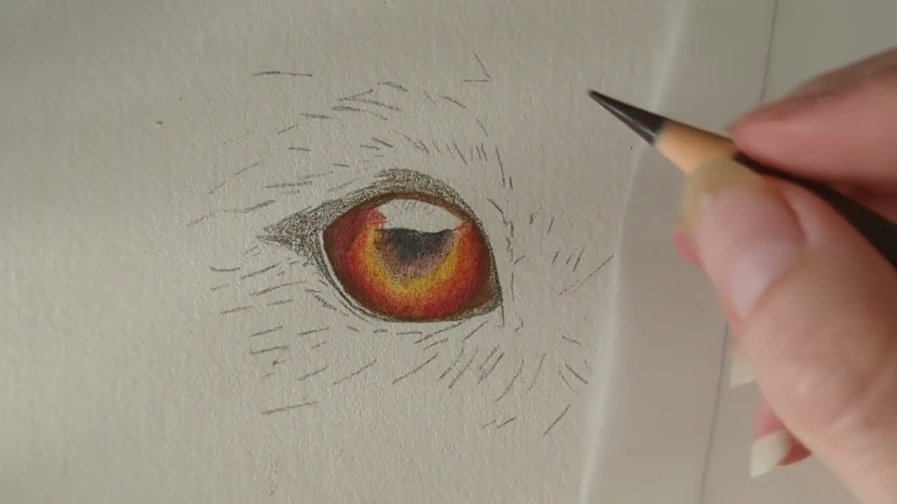 How to Draw a Realistic Dog Eye in Colour Pencil | Real Time Tutorial
