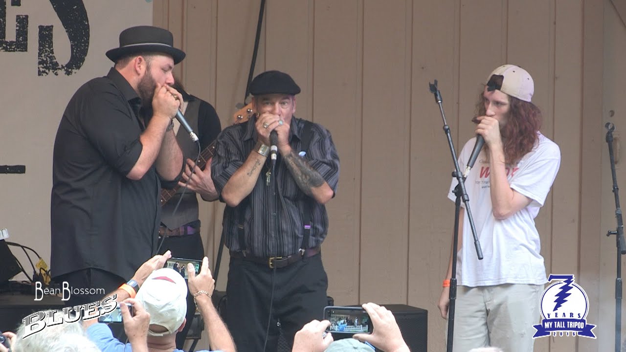 Brandon Santini with Deak Harp and Carson Diersing ~ Ida Lee ~ Bean Blossom Blues Fest 2015
