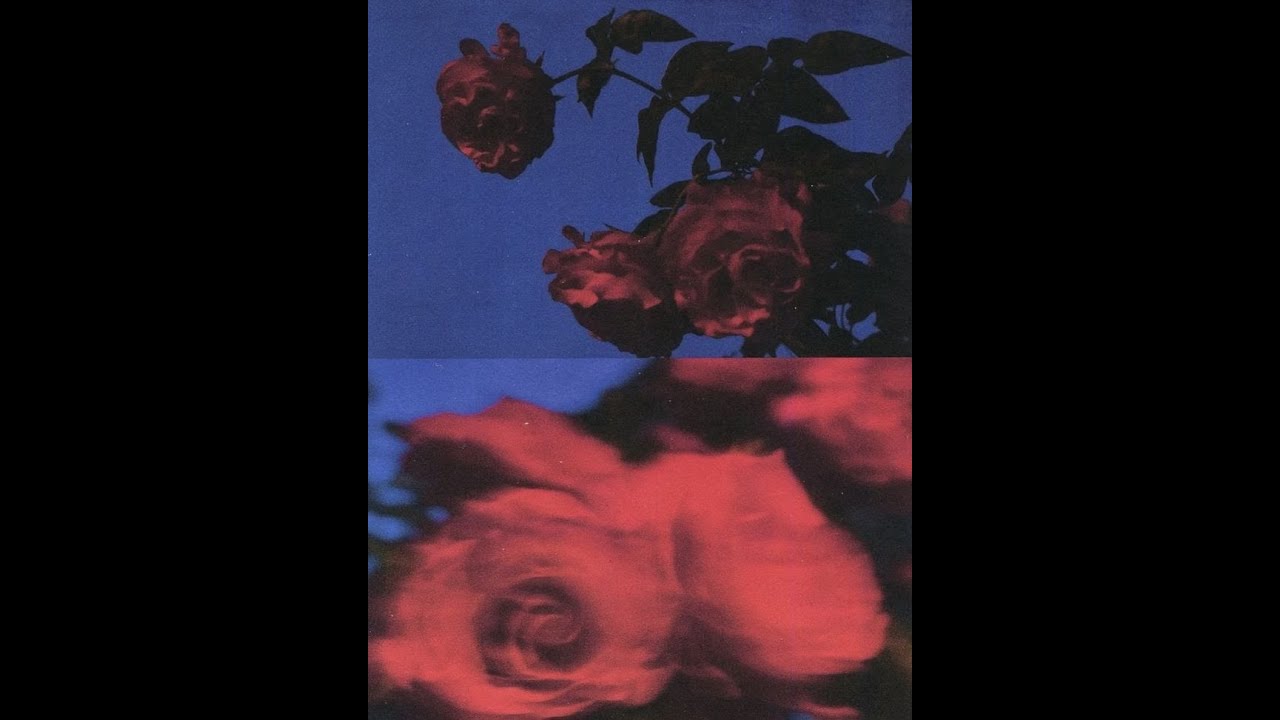 [FREE] SPANISH Trap Beat 2024 Free 