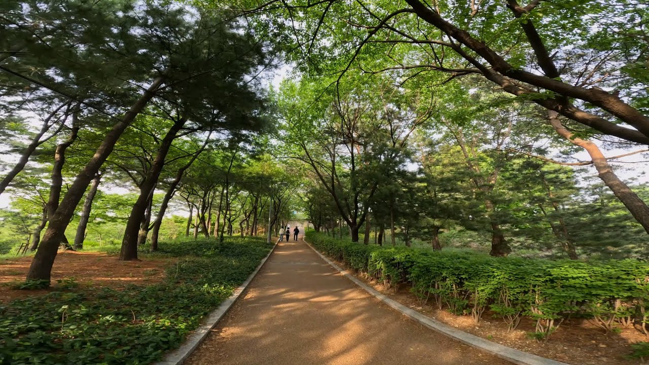응봉친화숲길 응봉근린공원