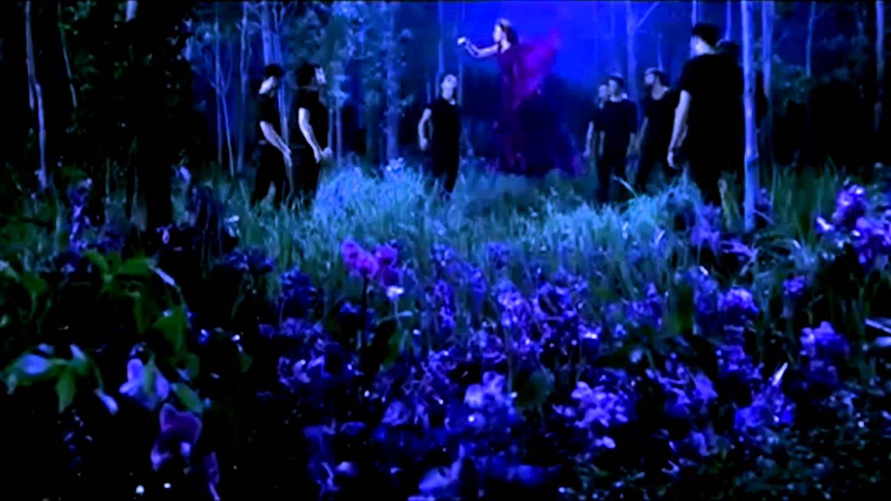 Stive Morgan - Sound in my heart