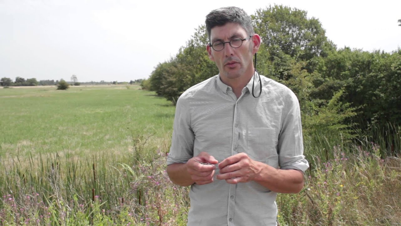 Clip officiel sur la nature &agrave; l'&eacute;comus&eacute;e Le Daviaud - La Barre de Monts-Fromentine (Vend&eacute;e)