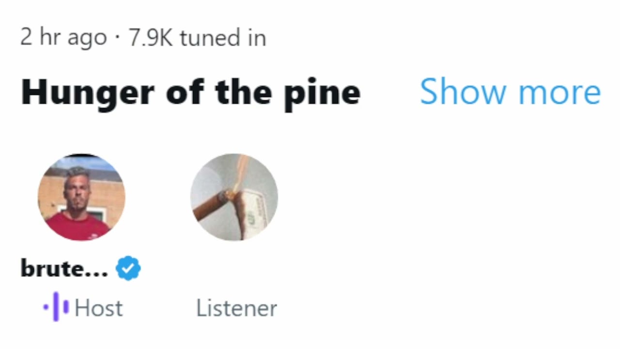 @brutedeforce Twitter Spaces - 02/13/2025 - Hunger of the pine