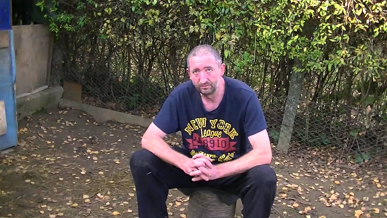 A rutinos nyúlász