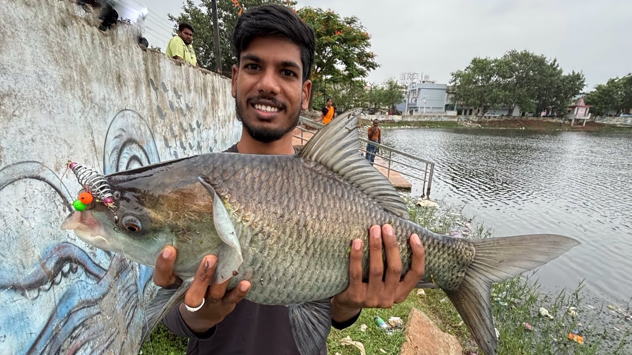 Big catla fish ! Amazing carp fish !  Fishing in Popup feeder ! #fishing #chhattisgarh #fishinglife