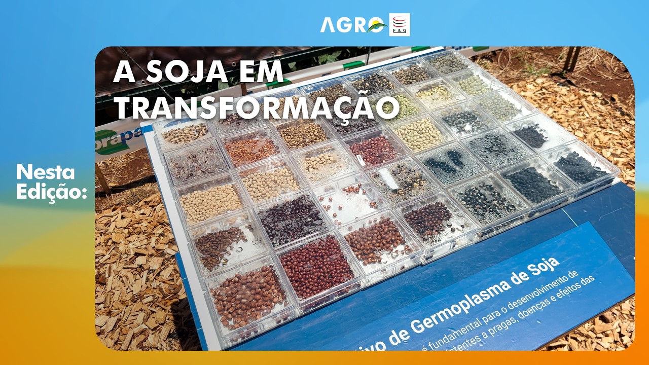 AgroFAG - 01/03/2026