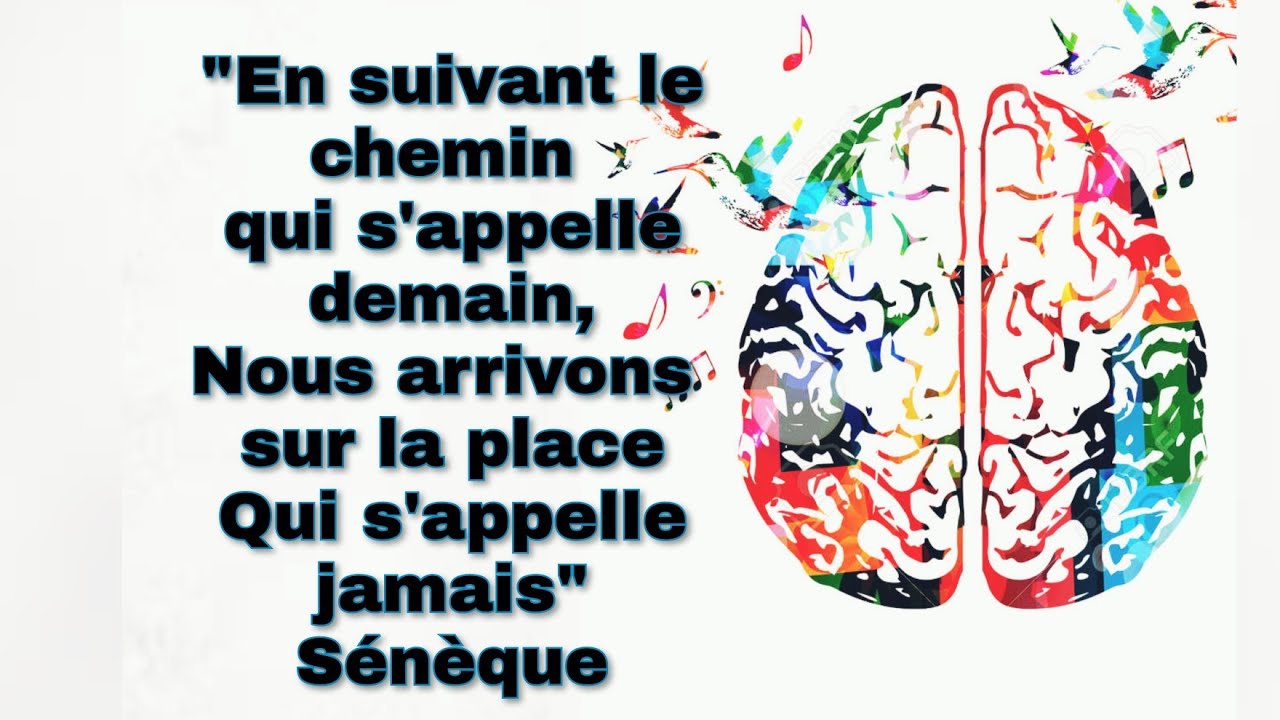 Clé N°2:💥Conflit cérébral qui entraine la Procrastination. Non vous nêtes pas paresseux, solutions💫