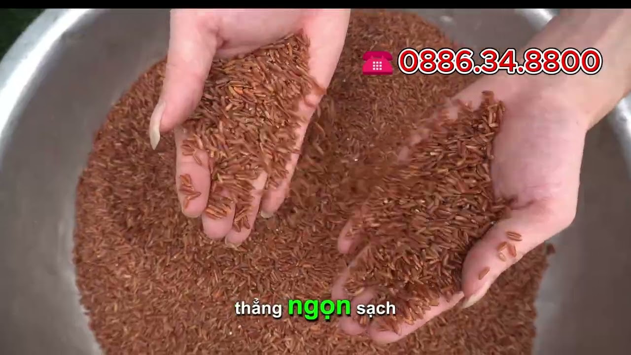 Máy nghiền inox