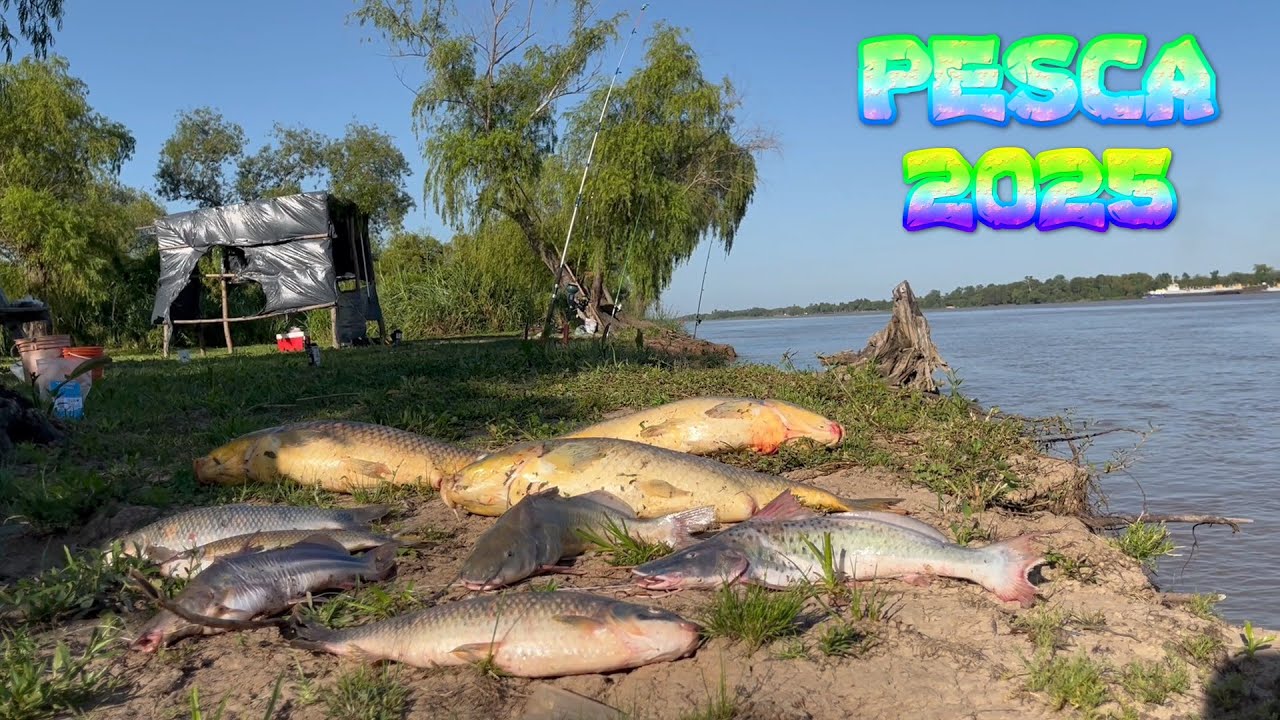 ASI ARRANCAMOS EL AÑO / PESCA Y COCINA EN LA ISLA...