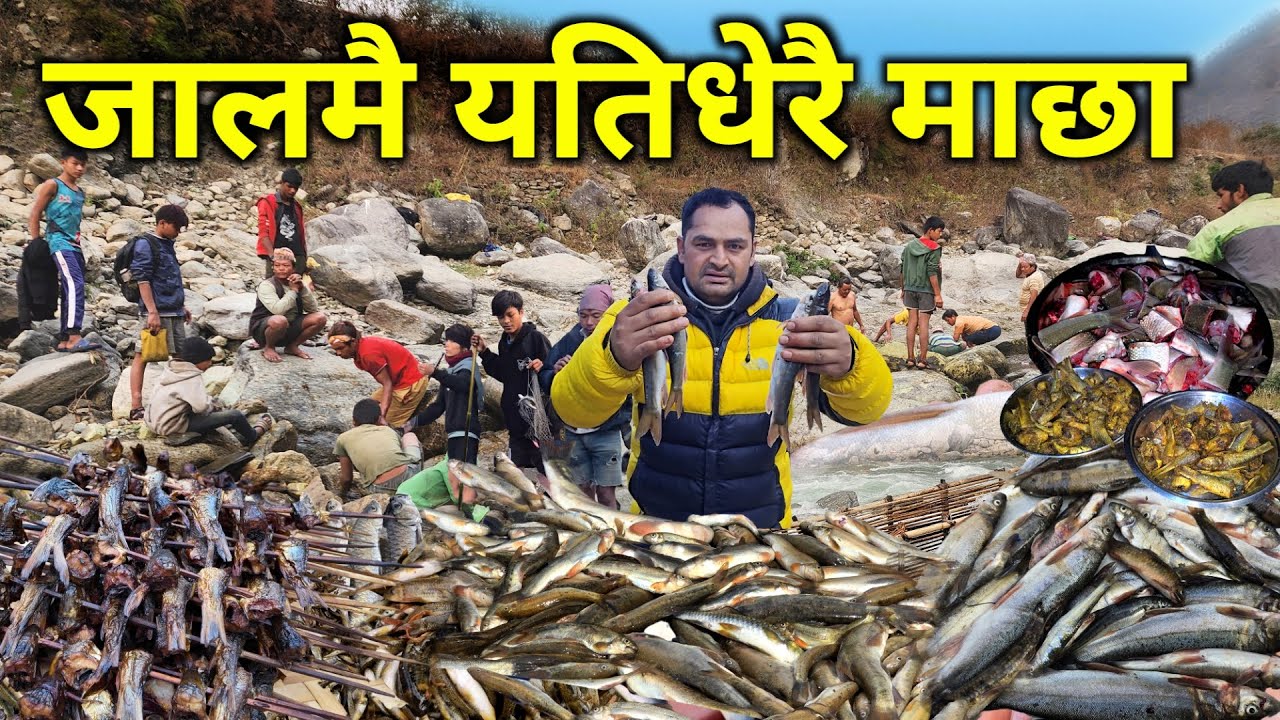 नेपालकै धेरै माछा पाईने रावाखोलामा जालमै यतिधेरै माछा | असलै असला मात्र | Nepali Fishing Videos