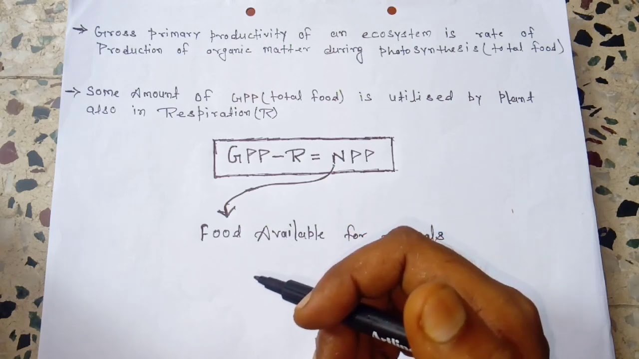 Net primary productivity (NPP)&Gross primary productivity(GPP)-Ecology|Easily explained-Hindi