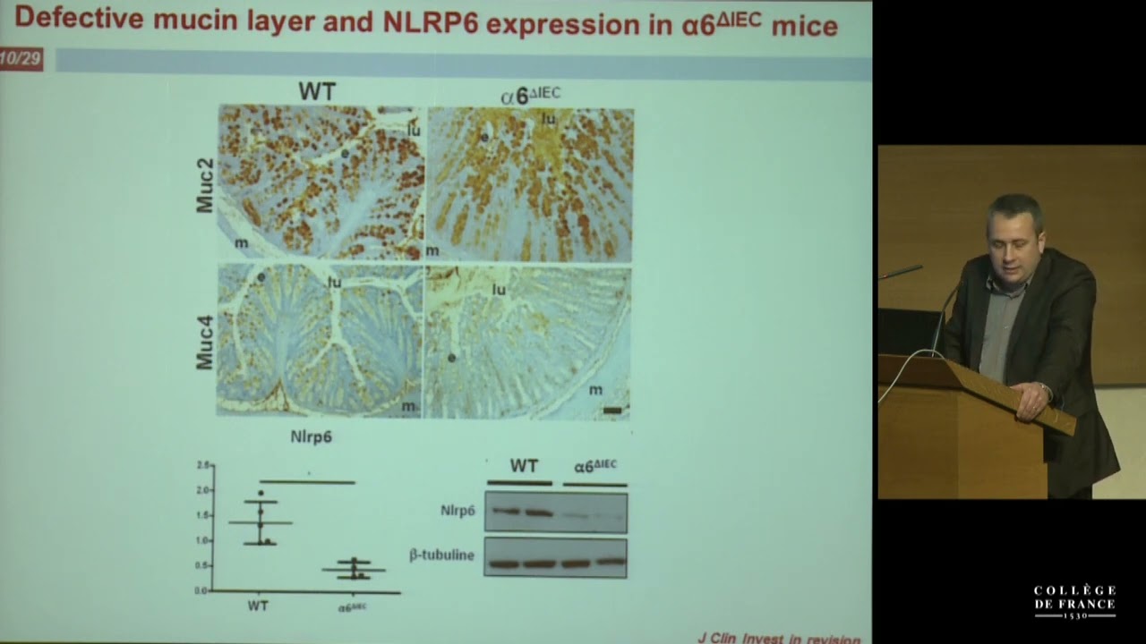 Microbiota, Nutrition and Metabolism (13) - Philippe Sansonetti (2013-2014)
