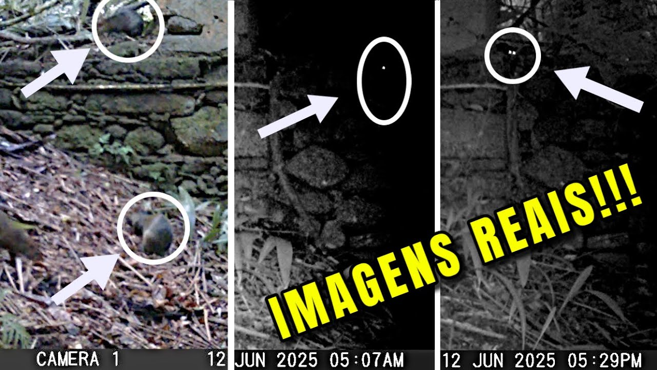 CÂMERA FILMA POR 21 DIAS ANTIGAS RUÍNAS ESCONDIDAS NUMA ILHA E AS IMAGENS SÃO IMPRESSIONANTES!