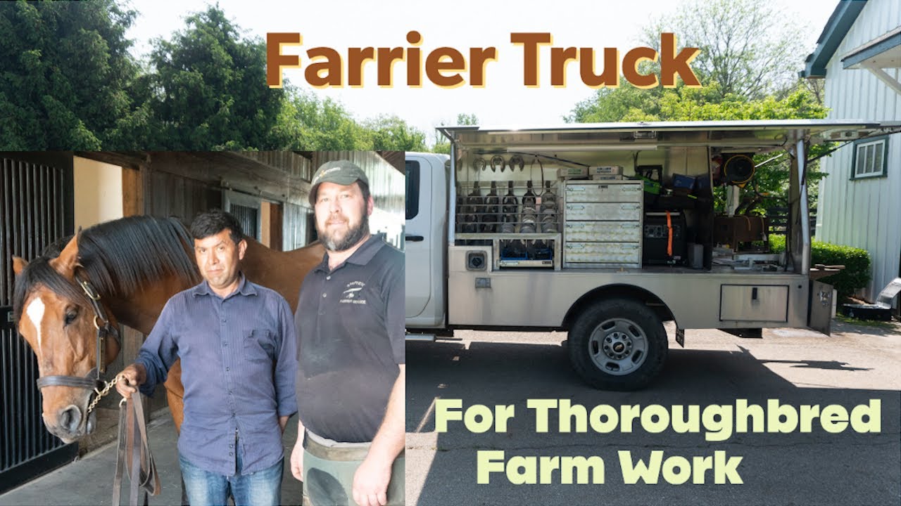 Farrier Truck for Working on Thoroughbred Farms