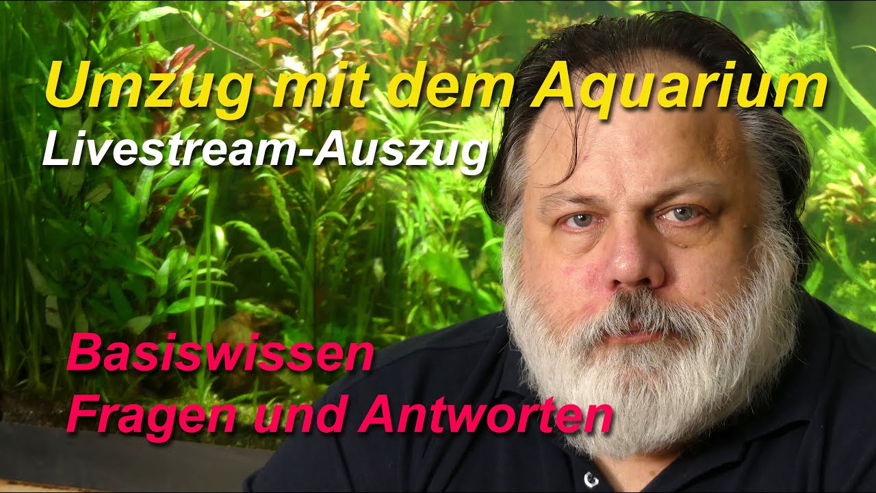 Umzug mit dem Aquarium, was muss man beachten. Mit Fischen umziehen.