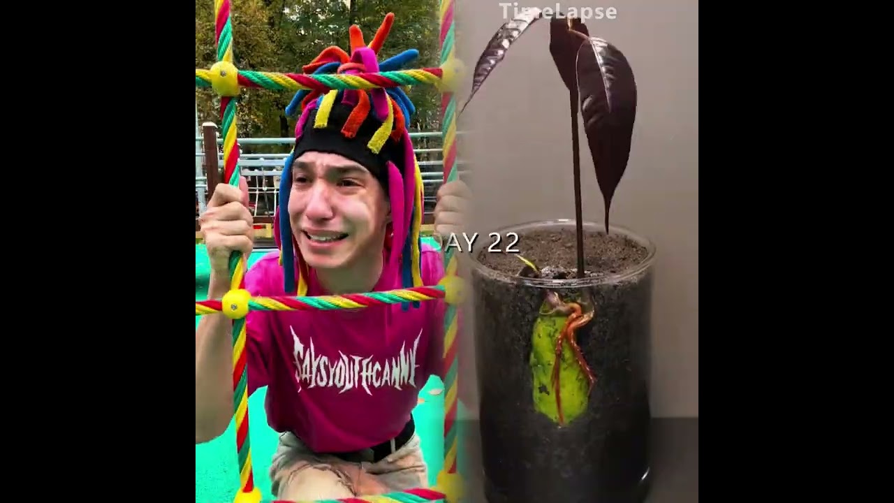 🤣👌👌👌2026pov Must-Watch Crazy Clips Compilation #humor #fypシ #pov #fyp #foryou 😍😜
