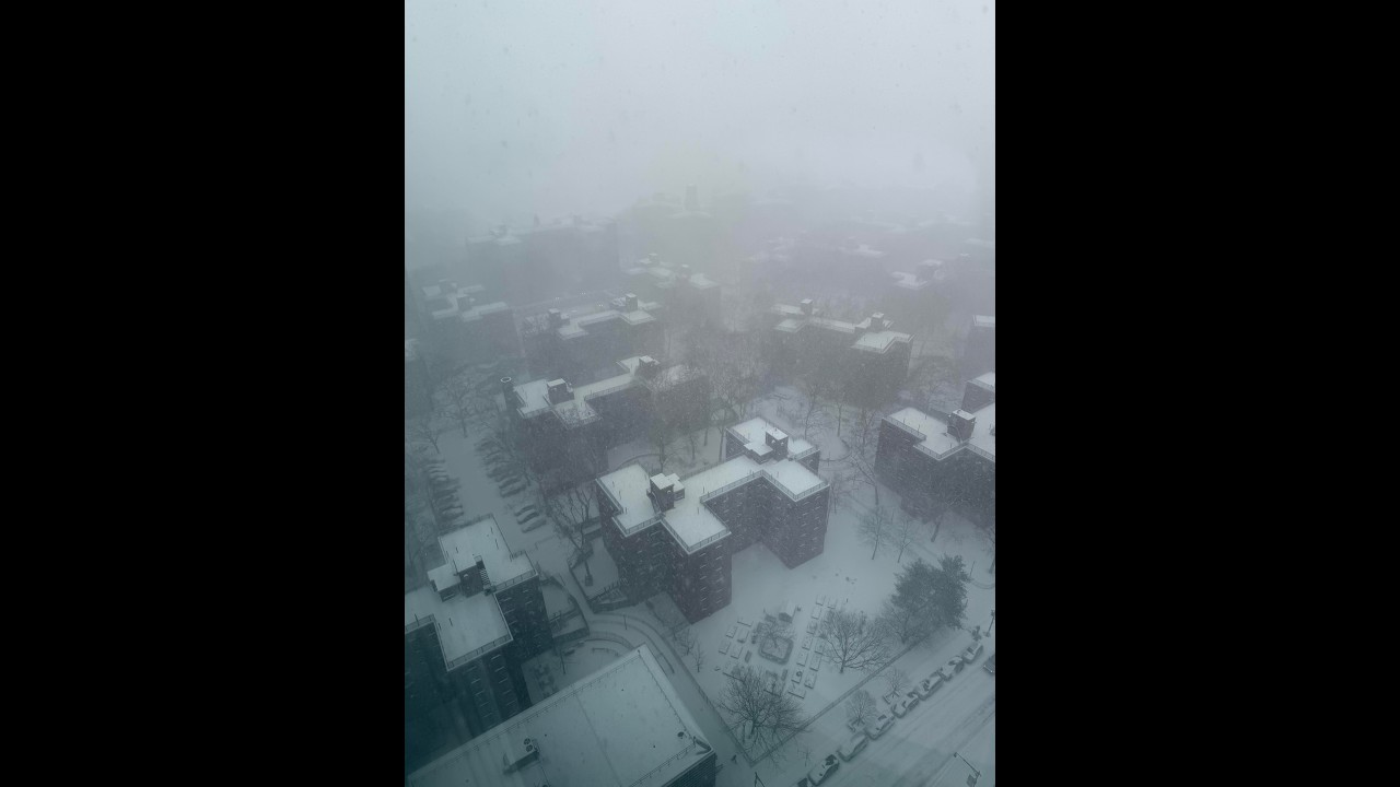 NYC Snowfall - 10 Hours of Peaceful Snow Ambience | Deep Sleep, Study, Relax