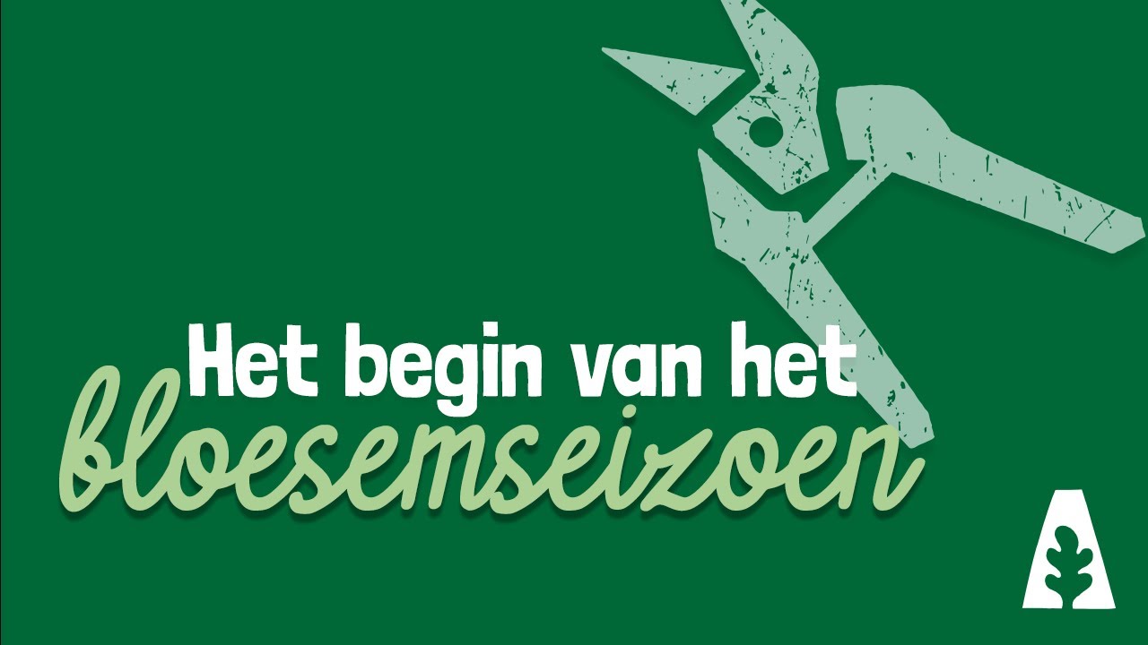 Stadstuinieren - Het begin van het bloesemseizoen