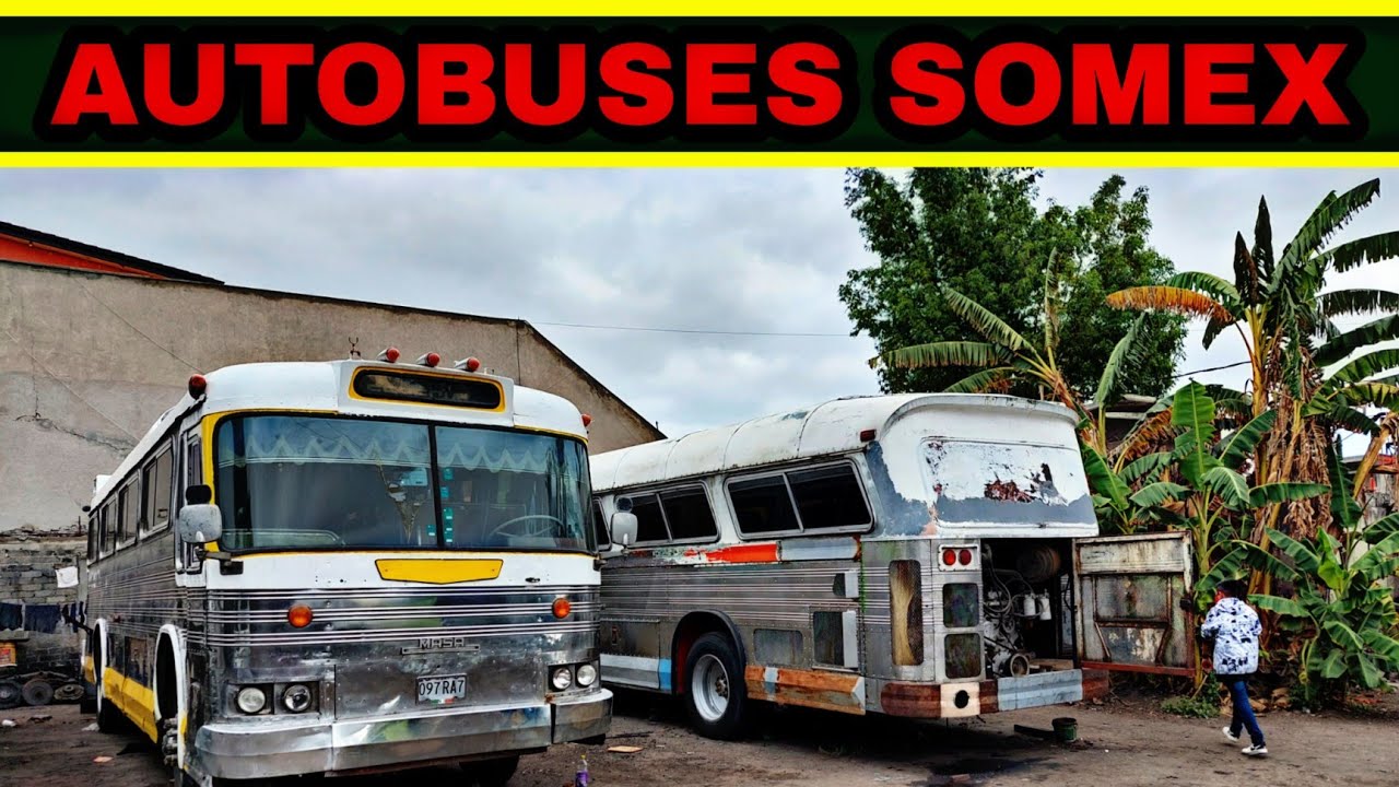 AUTOBUSES MASA SOMEX
