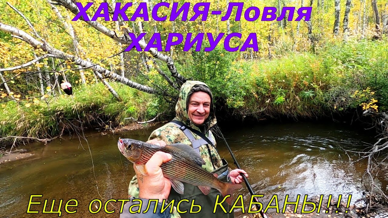 Рыбалка на Хариуса в ХАКАСИИ/Дикий РУЧЕЙ-Рыжая МУШКА./Фофан взял.