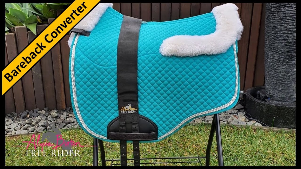 Alycia Burton Bareback Converter