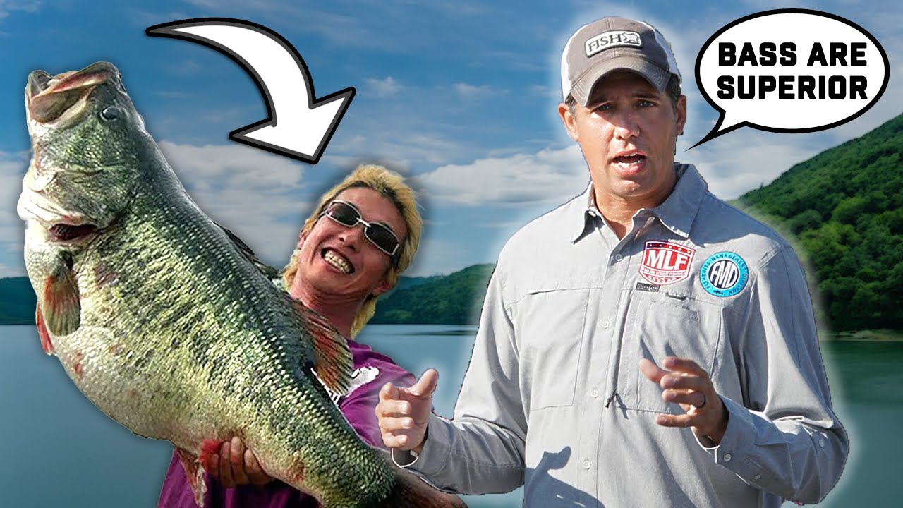 Why BASS Are The Greatest Fish (Biologist Explains)