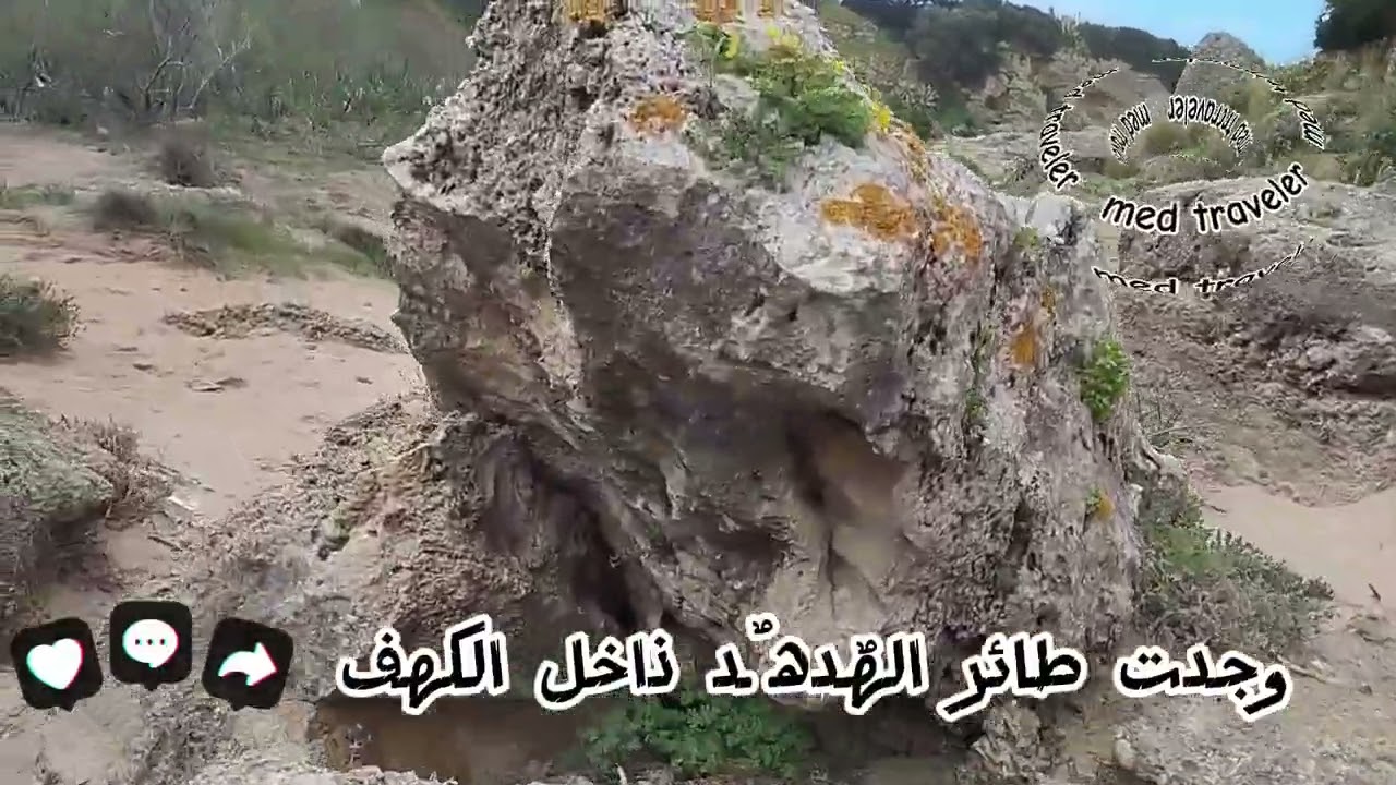 إستكشاف ماذا يوجد ذاخل الكهف.مع حسن الحظ وجدت طائر الهدهد الجميل ما شاء الله❤️