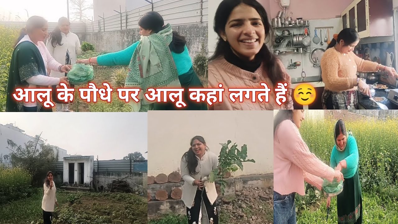 सारे दोस्त पहुंच गए आज चने के खेत में शिवानी ने पहली बार देखा आलू के पौधे| #khetibadi #farming#vlog 