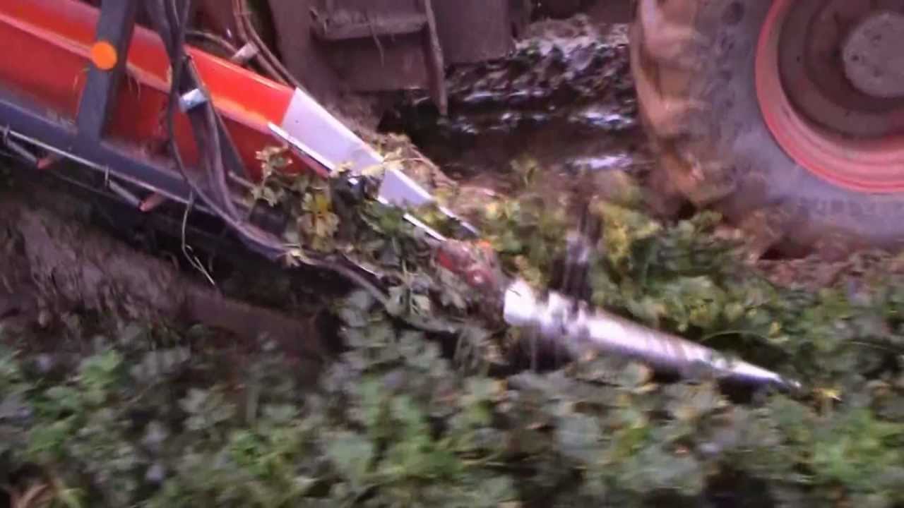 Knolselderrooier - Turnip celery harvester - Arracheuse de celeris-rave --- 2012 ---