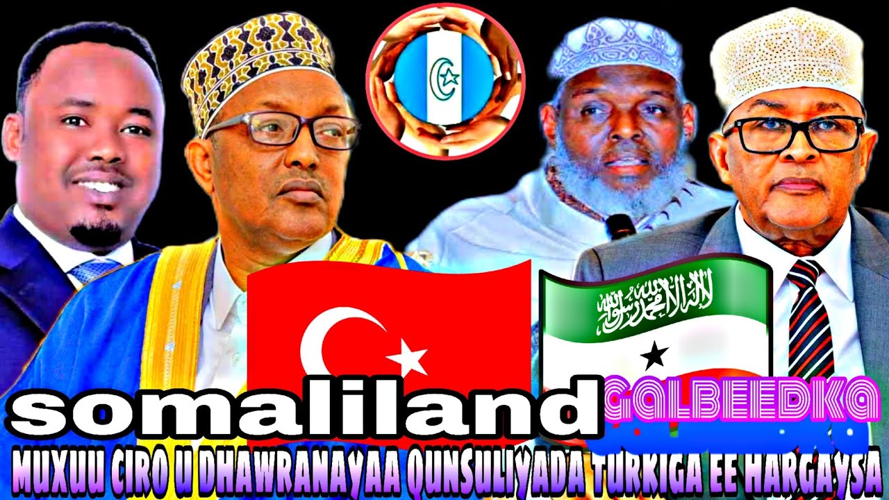 HABARJECLO & HABARYONIS DAGAAL BAA KA DHEX QARXAYA HADAAN NINKAA HALAAGA AH LAGA QABAN-GALBEEDKANA__