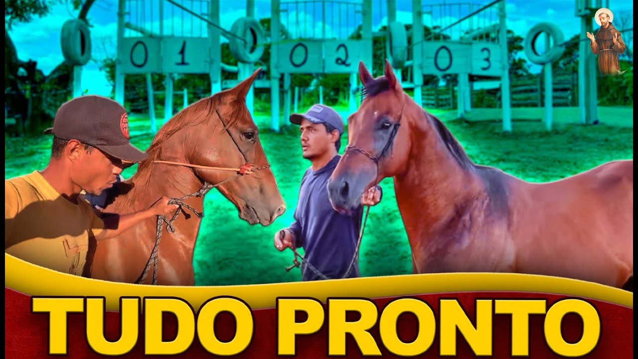 Tudo Pronto para Corrida de cavalo