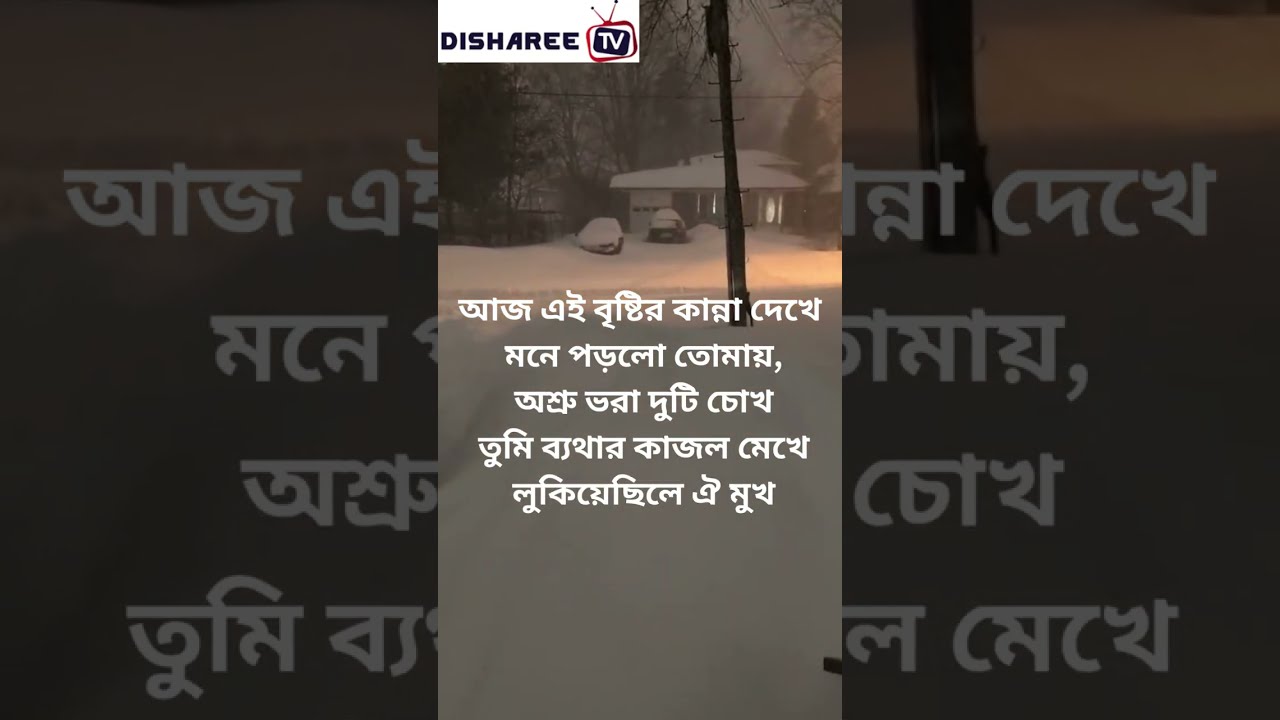 Aj Ei Bristir Kanna Dekha | Niaz Mohammad Chowdhruy | আজ এই বৃষ্টির কান্না দেখে | By Lutful Karim